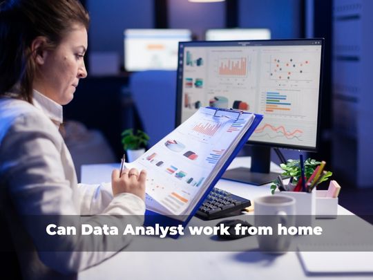 Read more about the article Can Data Analyst work from home